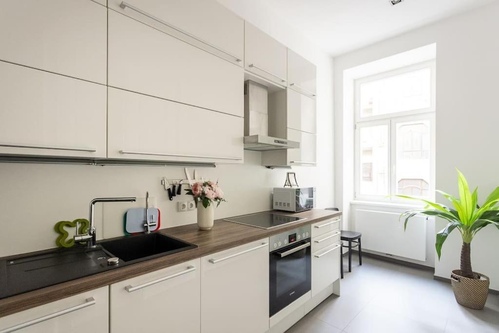 Apartament Franz 24 - Typical Viennese In The Heart Of *